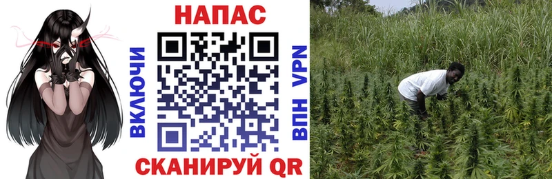 сайты даркнета какой сайт  Усть-Катав  Бошки марихуана Ganja  закладки 